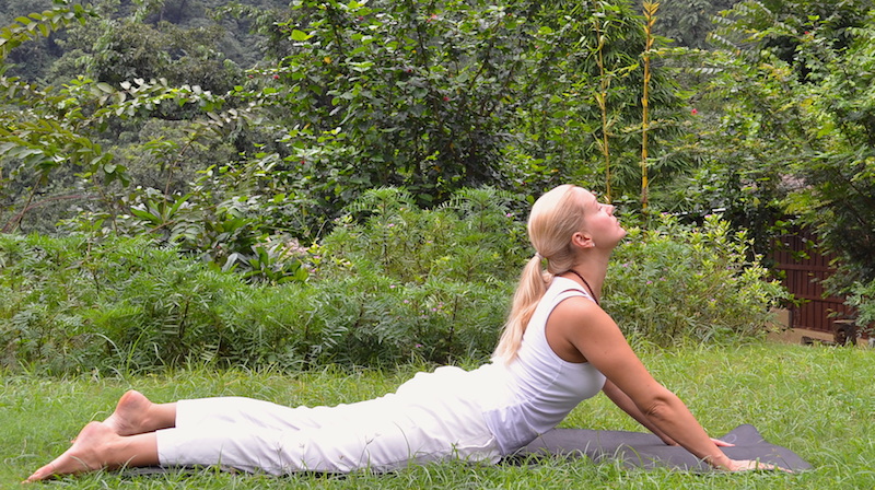 Bhujangasana - cobra pose